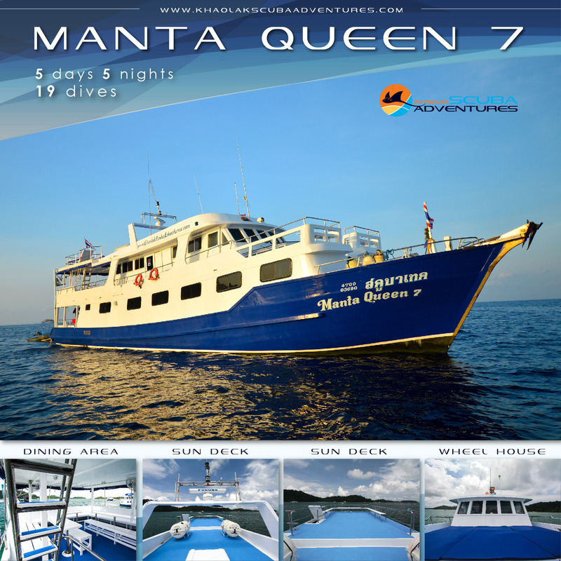 Manta Queen 7